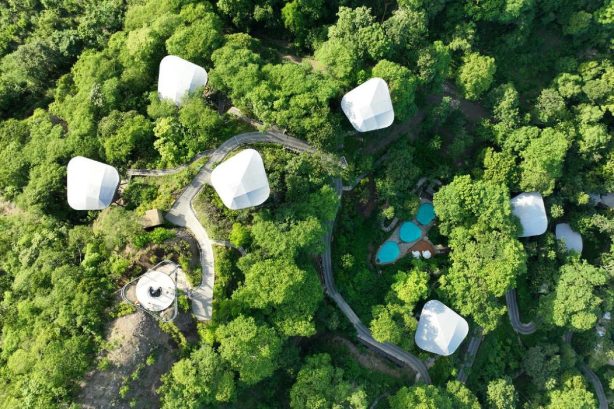 Suitree Experience Hotel