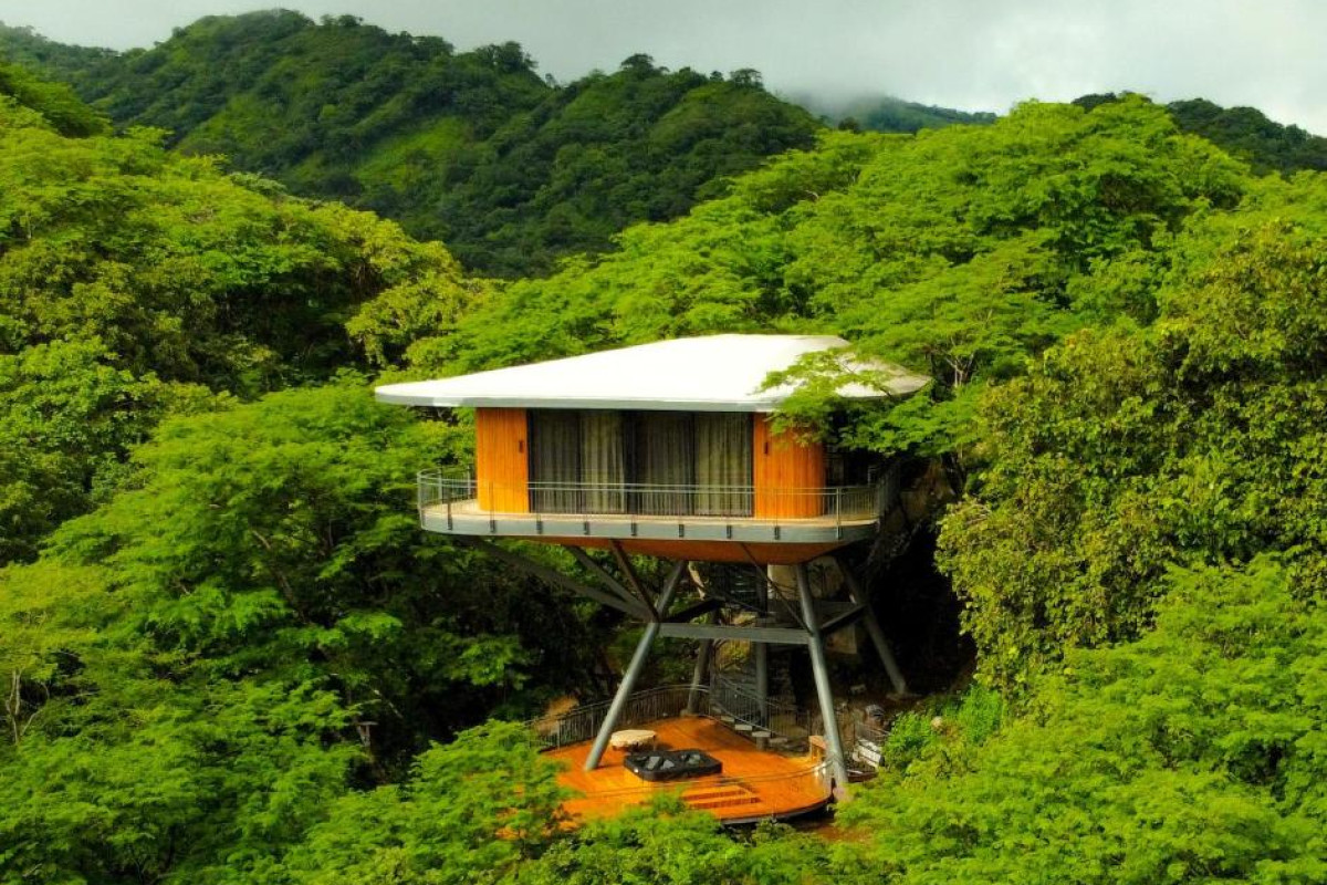 Suitree Experience Hotel