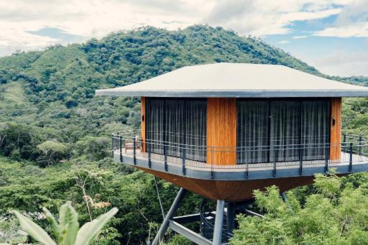 Suitree Experience Hotel