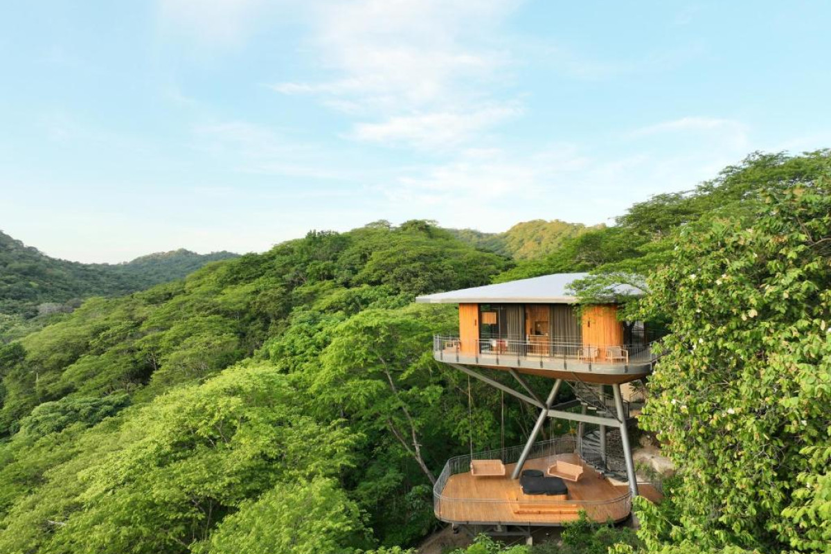 Suitree Experience Hotel