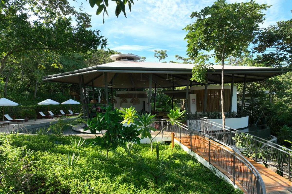 Suitree Experience Hotel