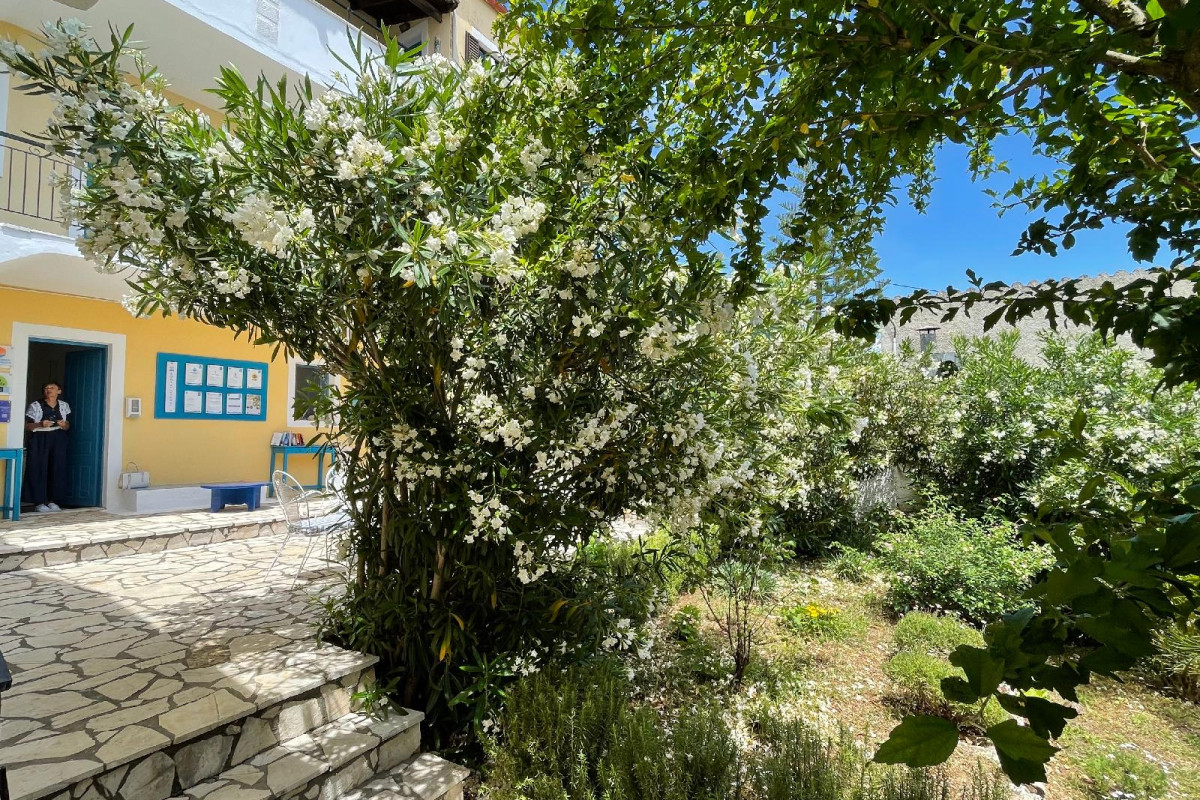 Sunflower Apartments & Studios