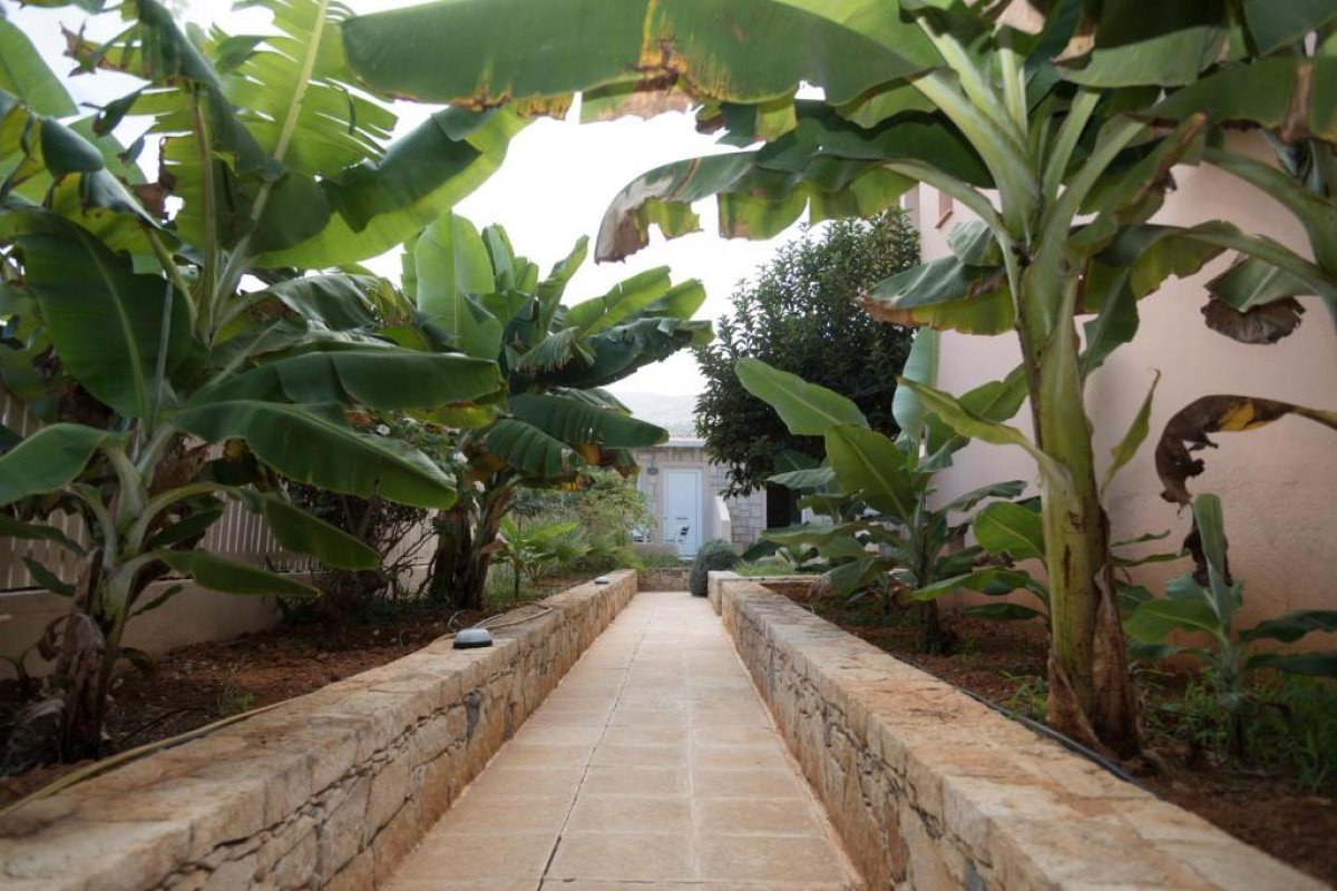 Sunset Malia Studios & Apartments