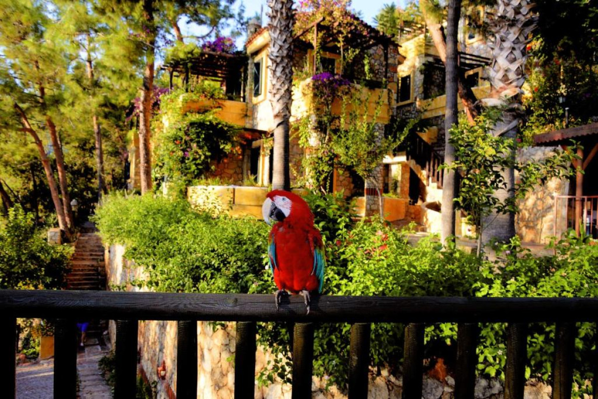 Hotel Symbola Oludeniz Beach