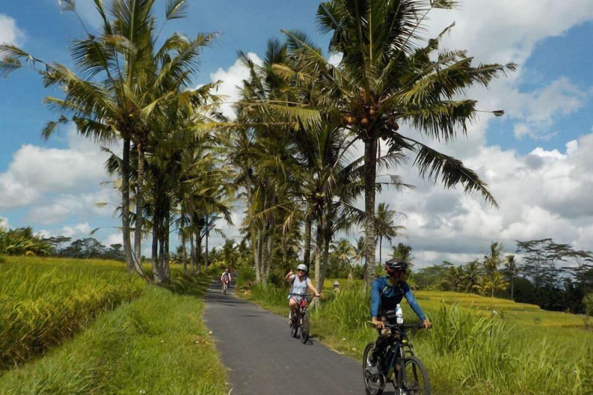 Taluh Bebek Ubud Private Villas