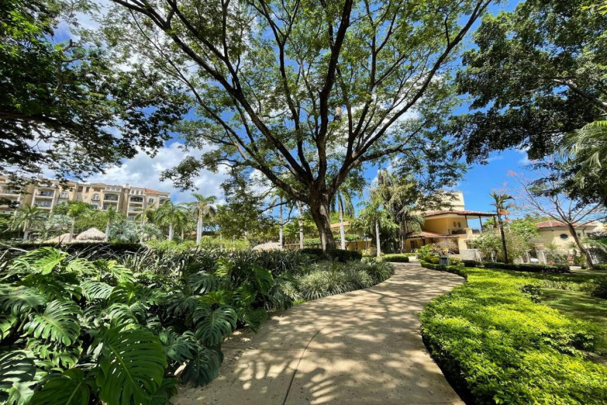 Tamarindo Diria Beach Resort