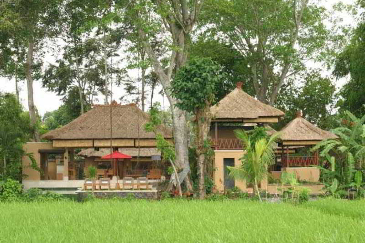 Tamu Seseh
