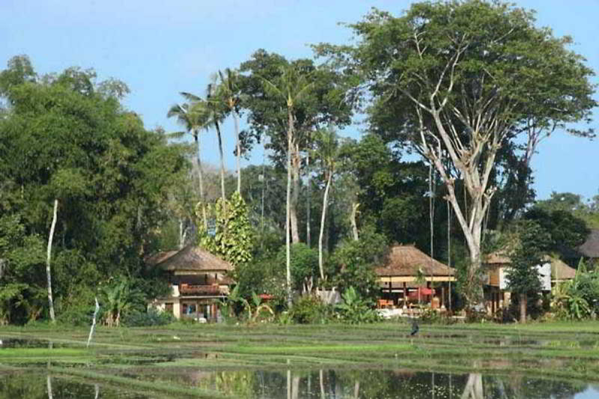 Tamu Seseh