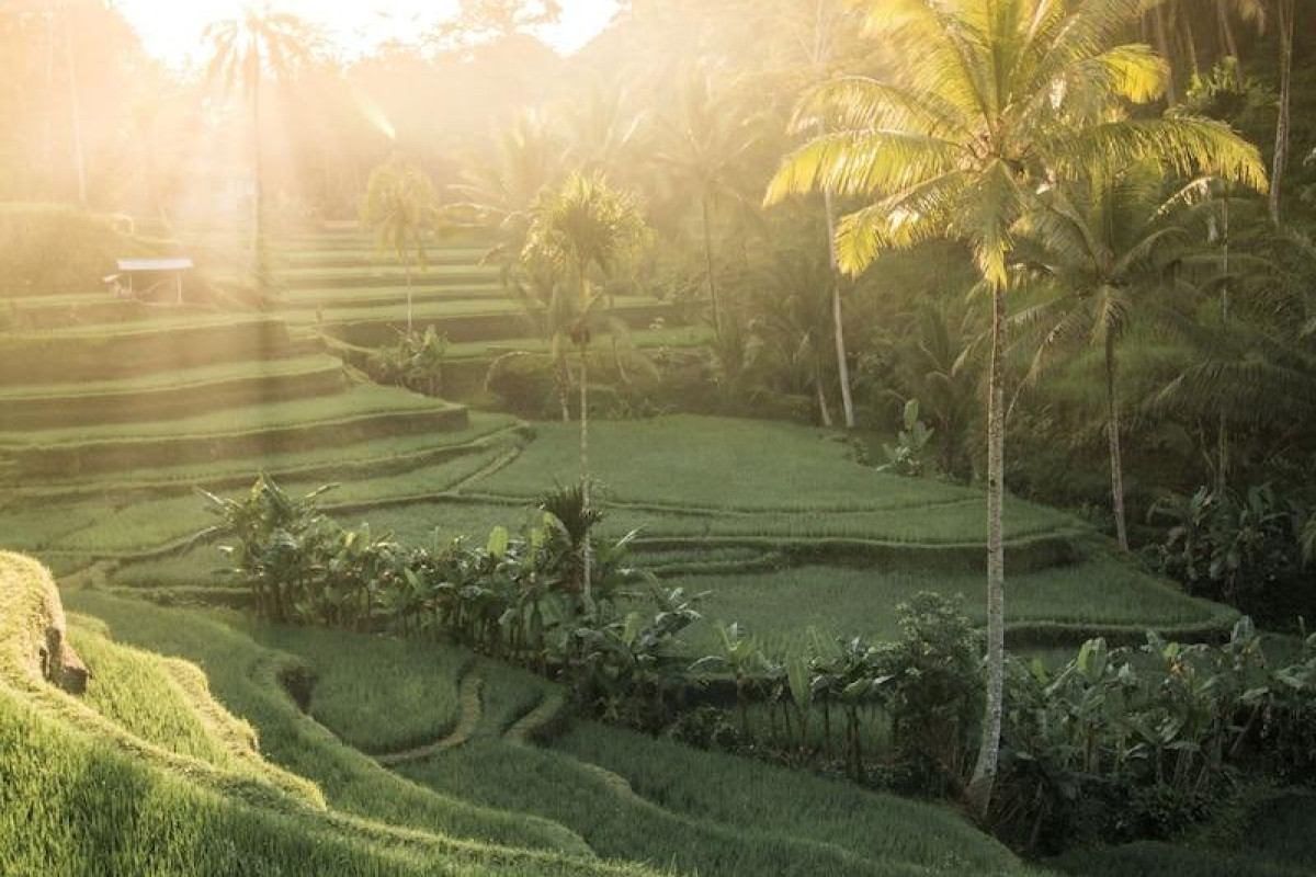 Tejaprana Resort & Spa