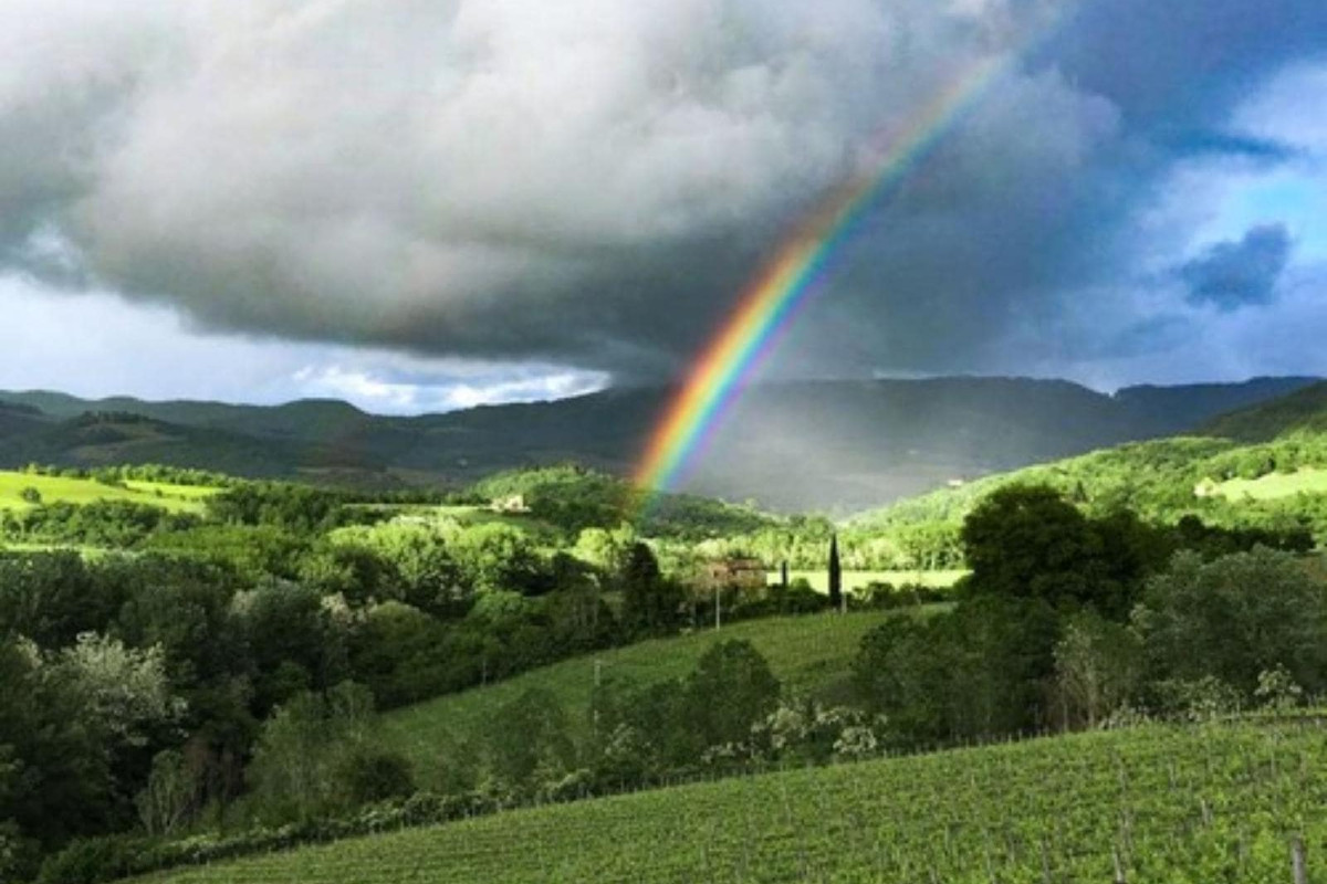 Tenuta Cortedomina