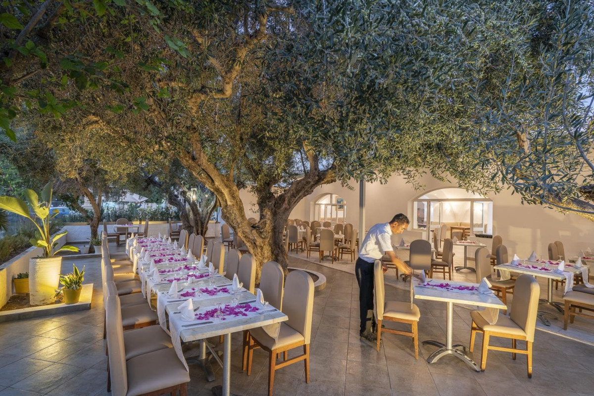 Le Hammamet