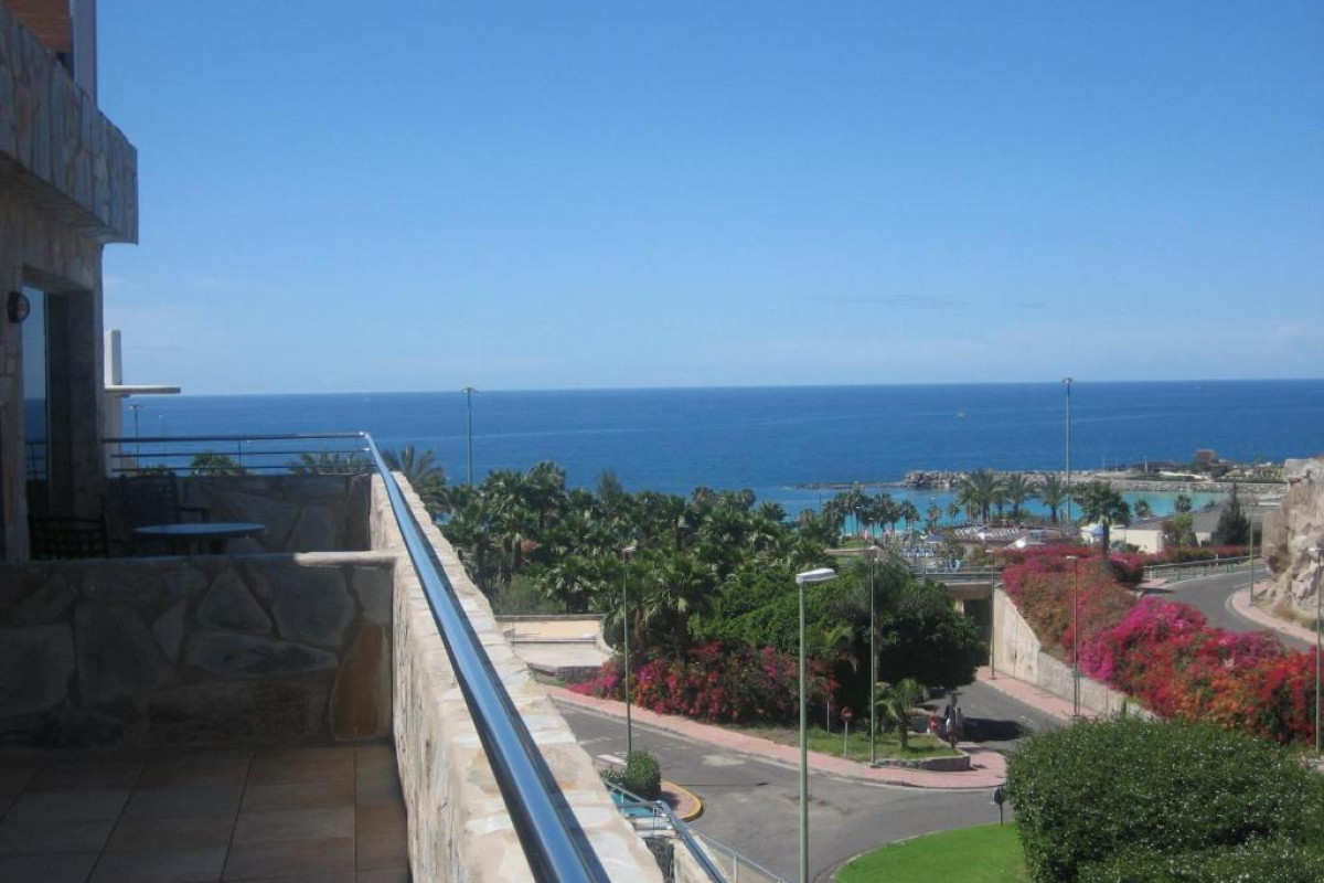 Terraza De Amadores