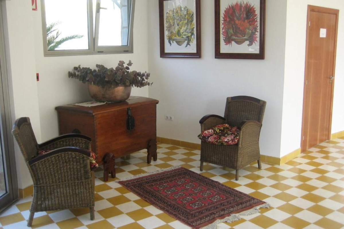 Terraza De Amadores