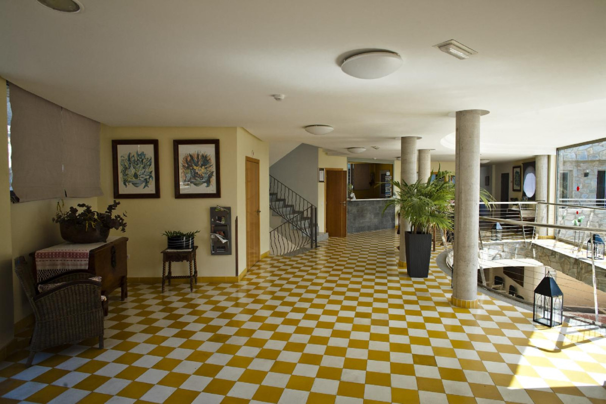 Terraza De Amadores