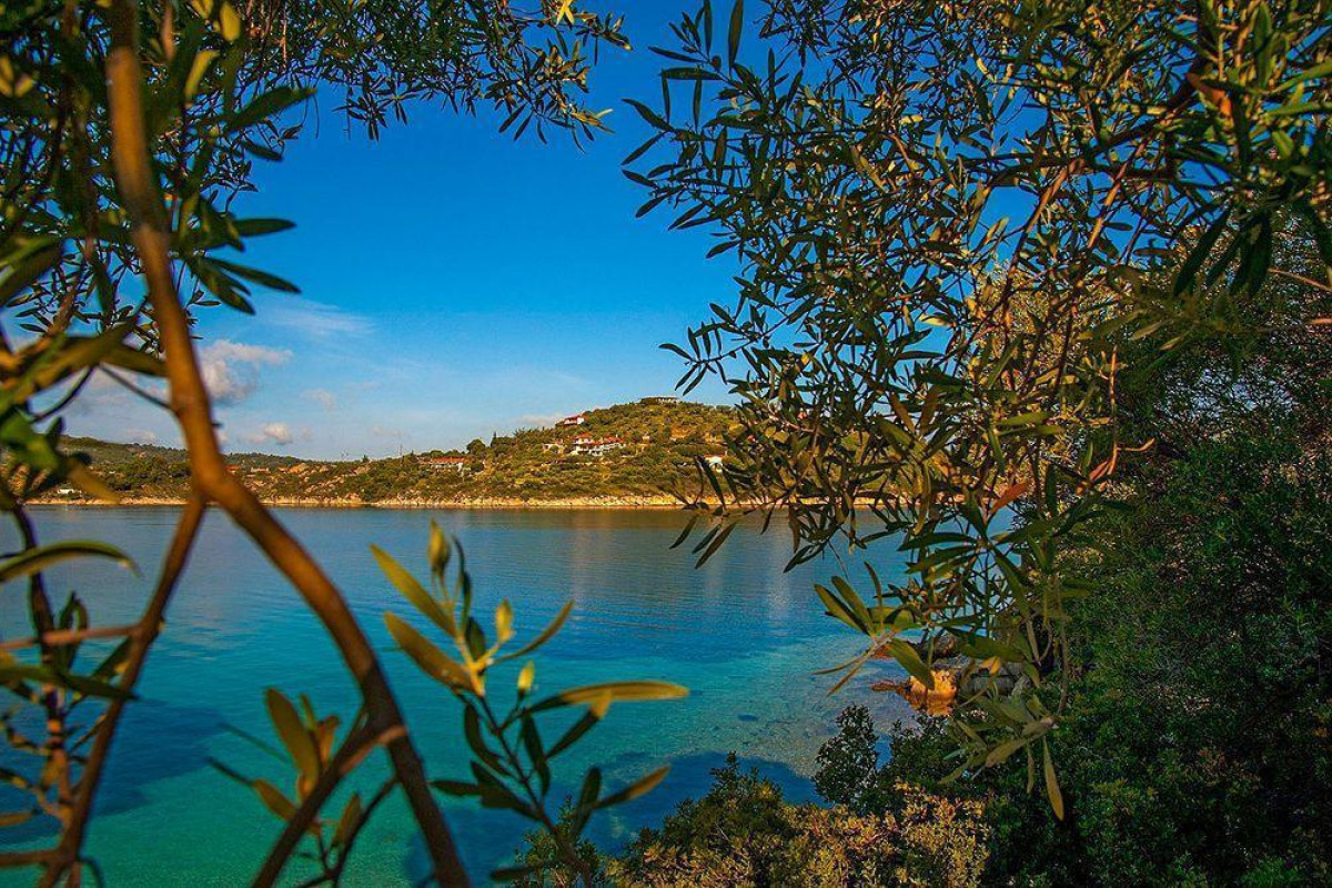 Thalassokipos