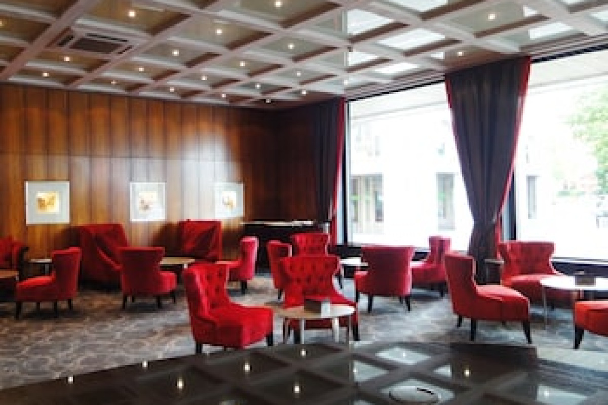 THE AMBASSADOR