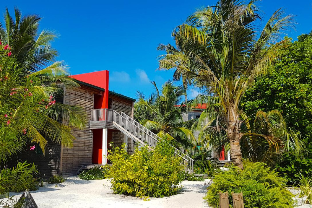 Hotel The Barefoot Eco