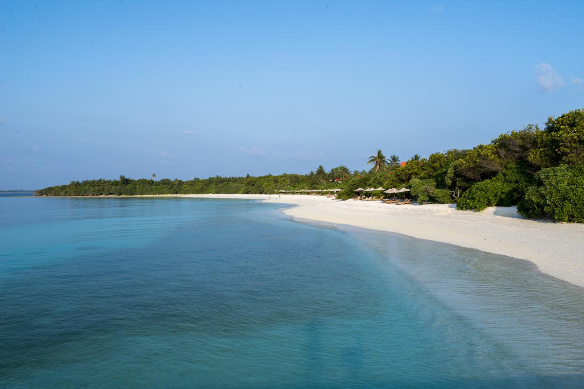 Hotel The Barefoot Eco