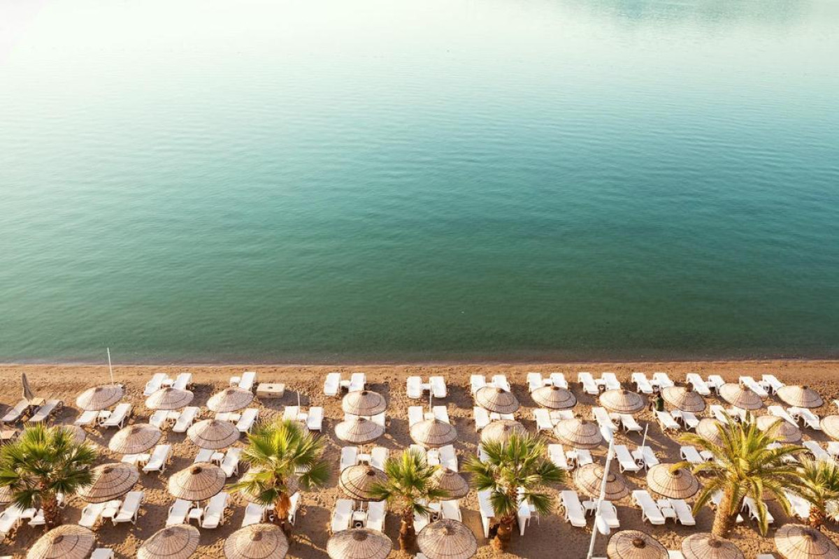THE BEACHFRONT HOTEL