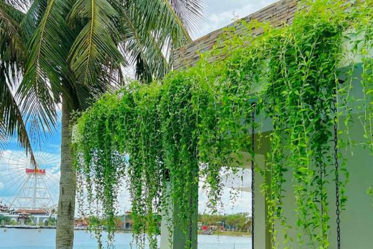 THE BLOSSOM RESORT ISLAND - All Inclusive