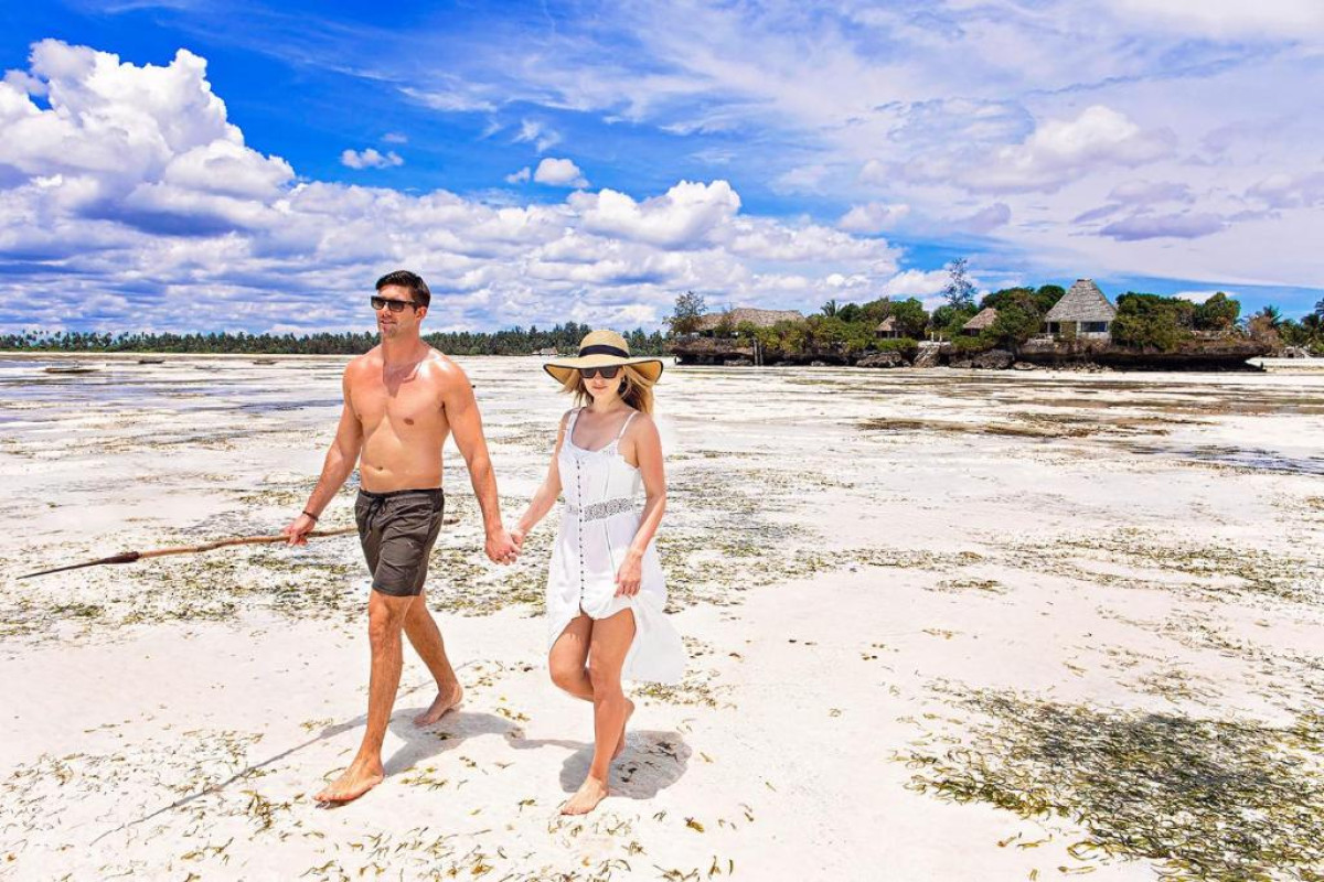 The Island Pongwe Lodge