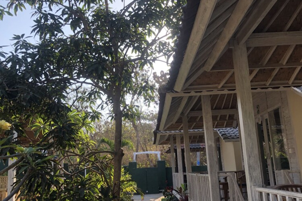 The Lucky Cottage