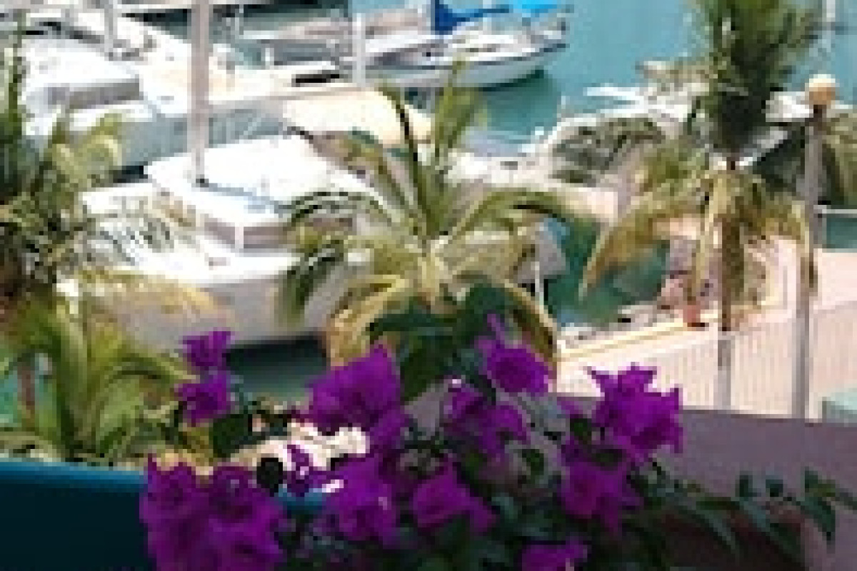 THE MARINE WATERFRONT
