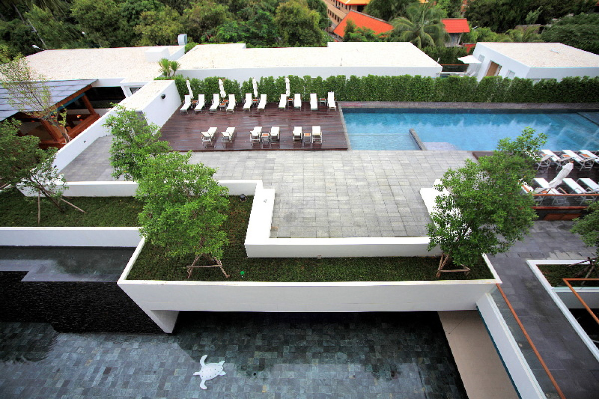 The Nap Patong