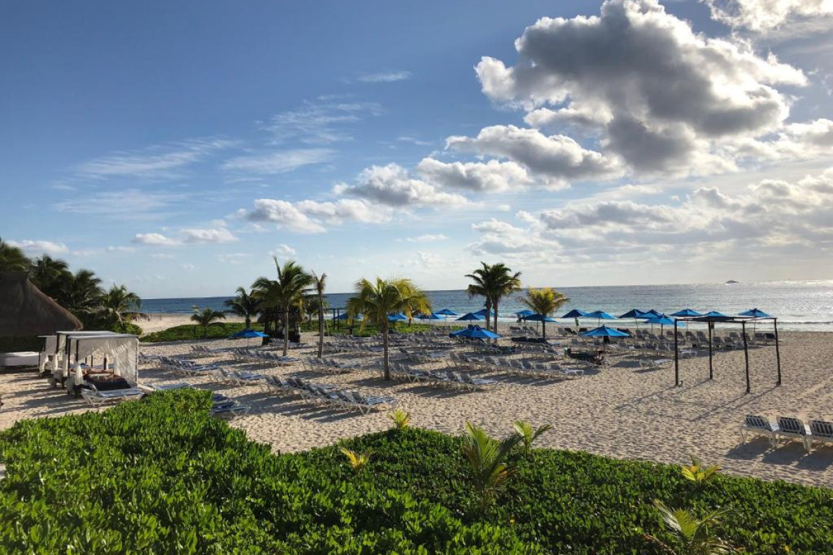 The Reef Playacar