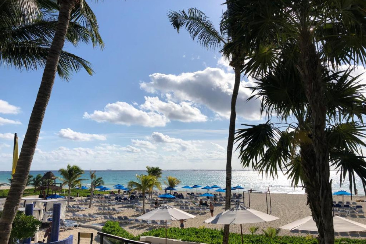 The Reef Playacar