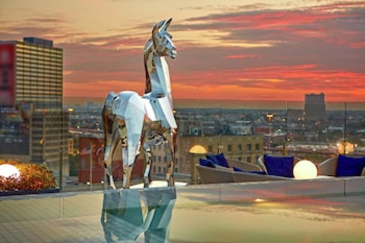 The Statler Dallas, Curio Collection By Hilton