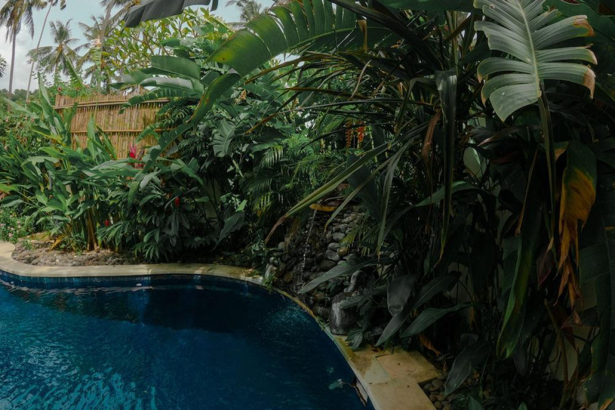 The Watergarden