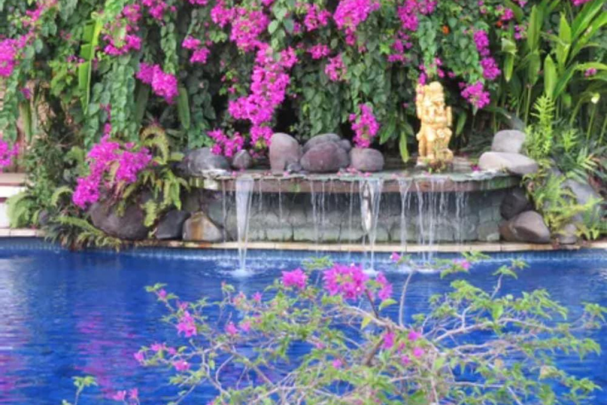 The Watergarden