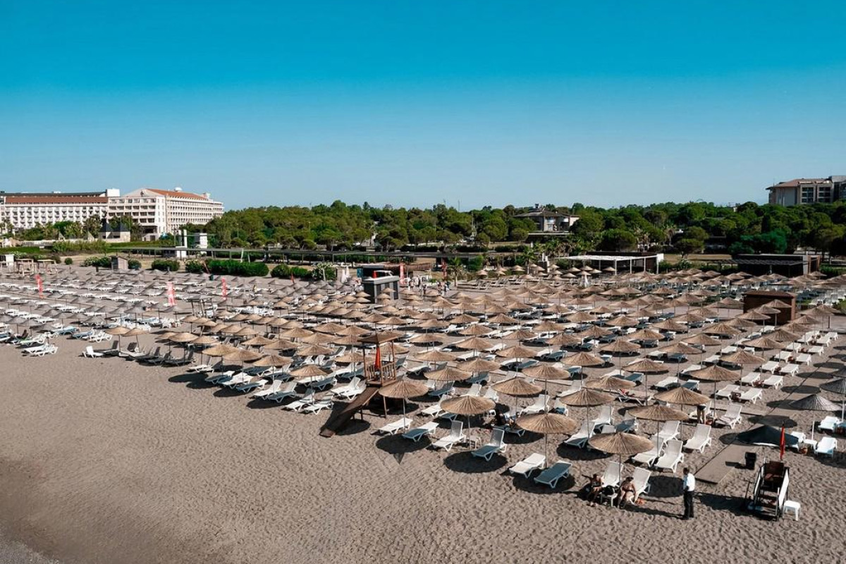 The X Belek