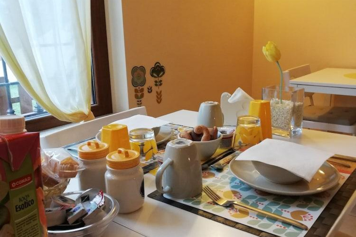 The Yellow House