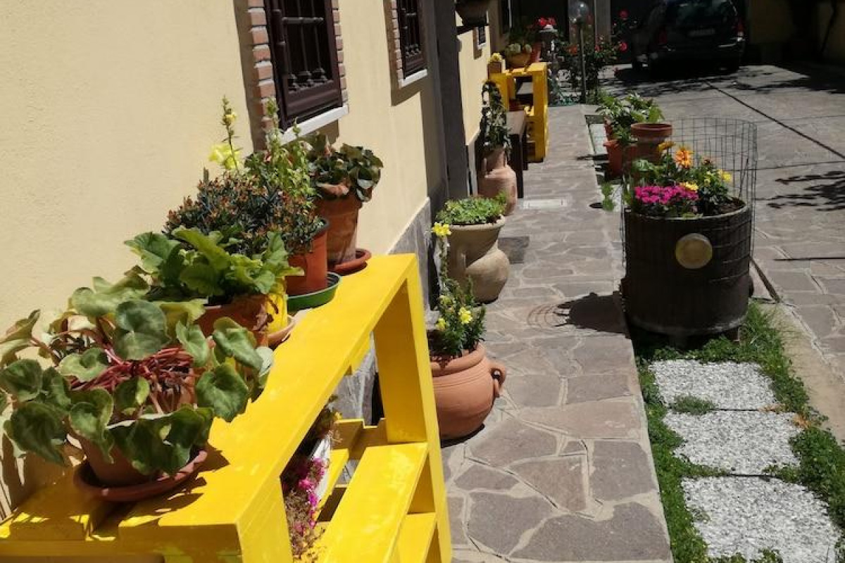 The Yellow House