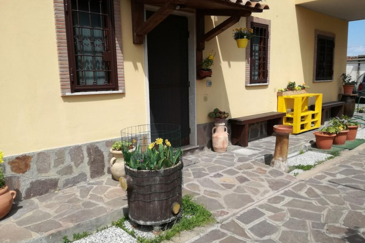The Yellow House
