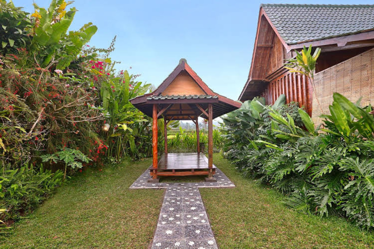 Ti Amo Bali