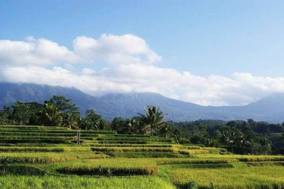 Ti Amo Bali