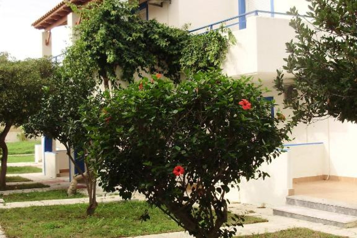 Tigaki's Star
