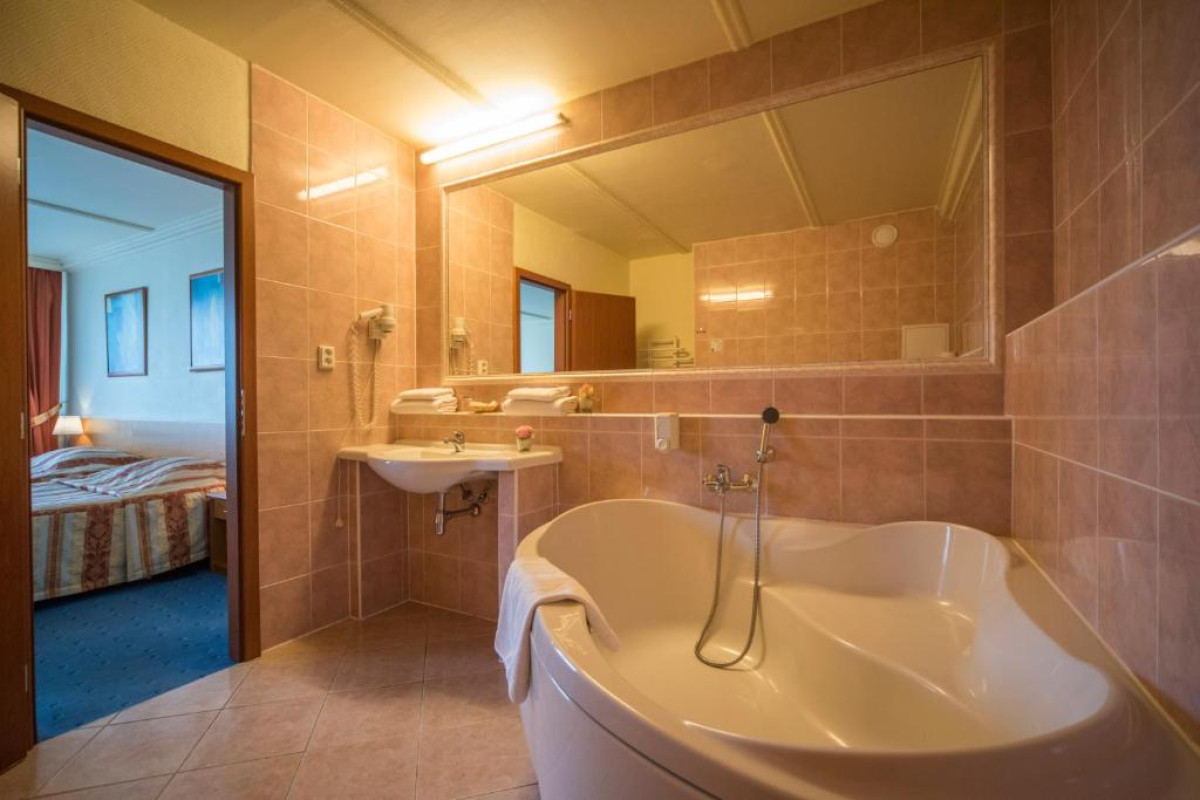 Top Hotel Praha