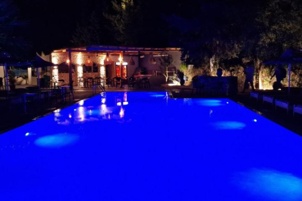 TREES ART HOTEL  SUITES