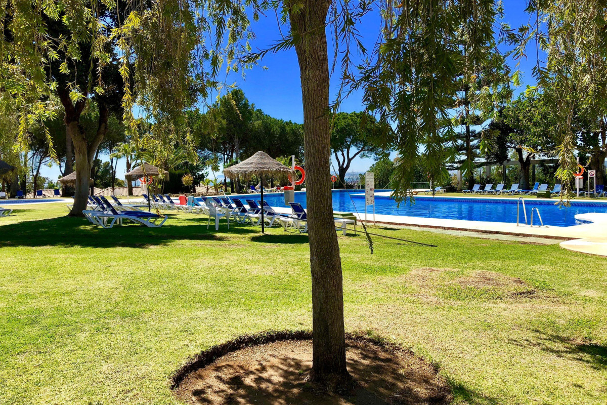 TRH Paraiso