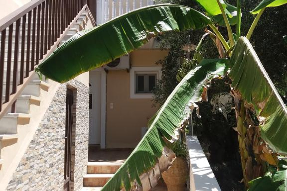 HOTEL TURTLE BEACH