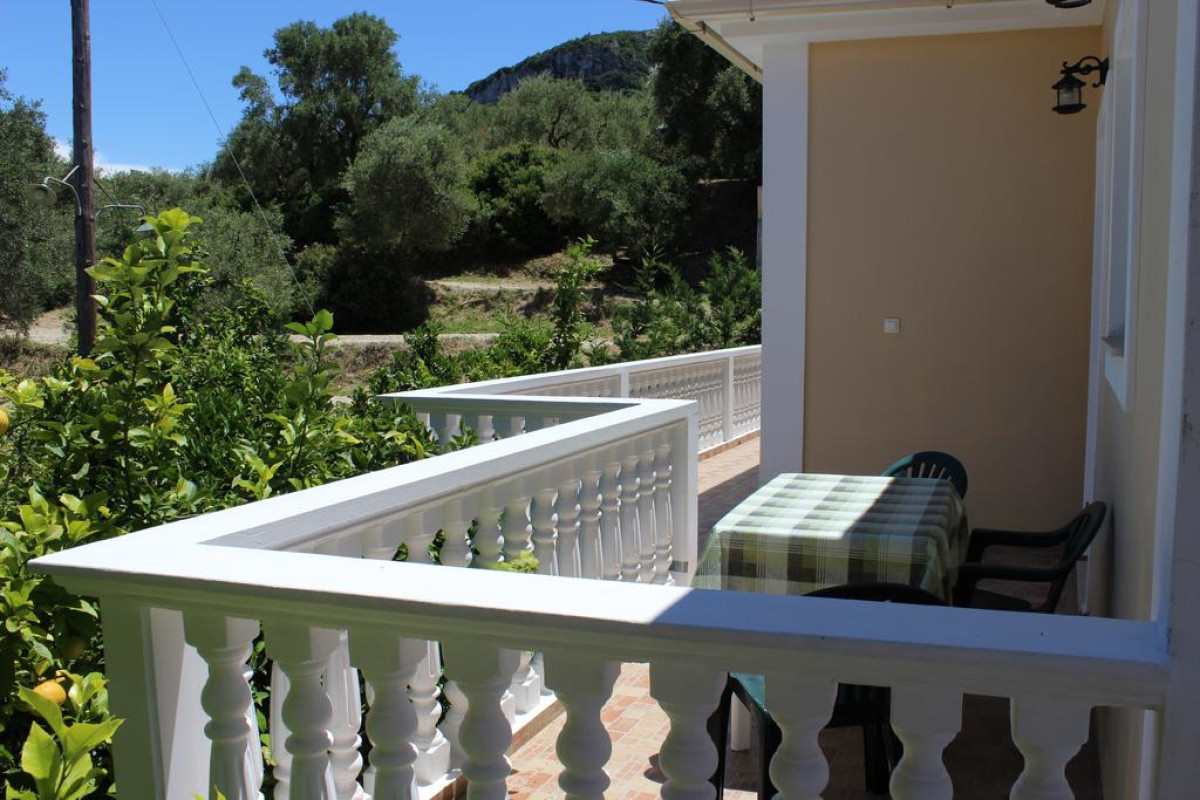 HOTEL TURTLE BEACH