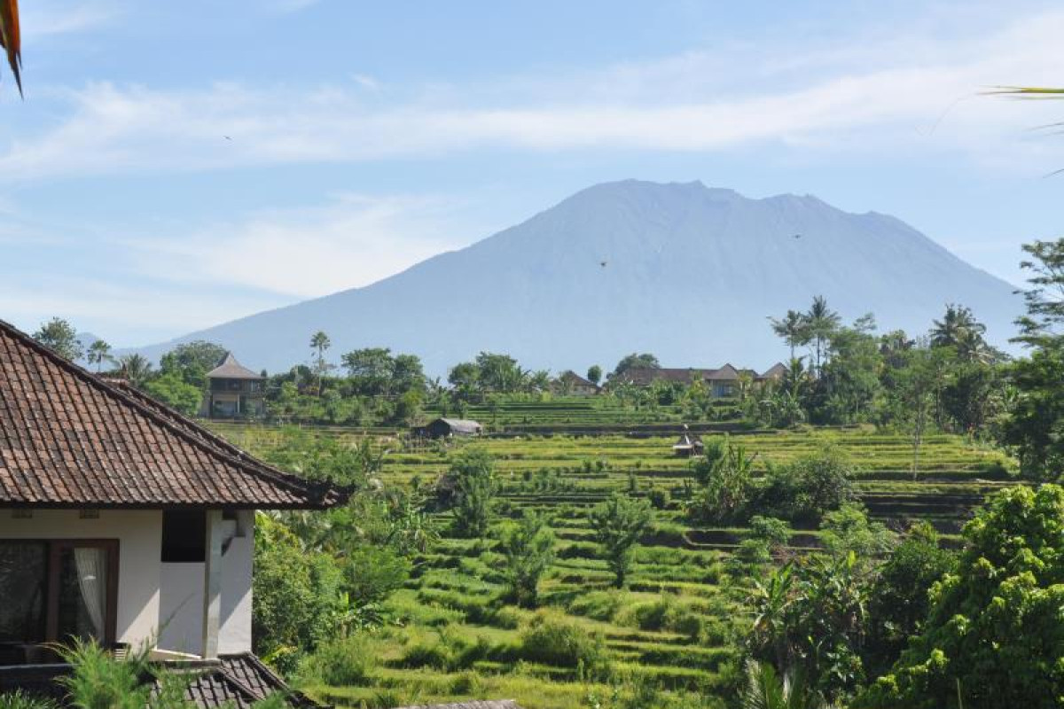Uma Agung Villa & Spa