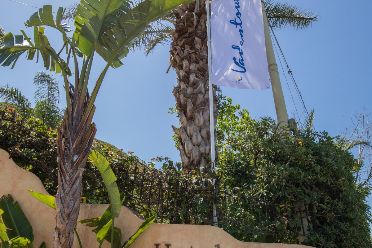Unico Cannamele Escape Tropea