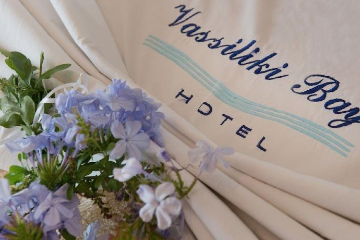 Vassiliki Bay Hotel (Vassiliki)