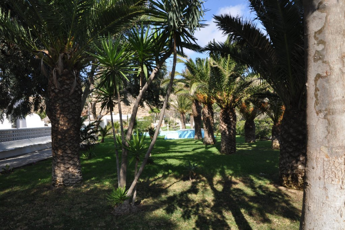 Aphrodite Beach
