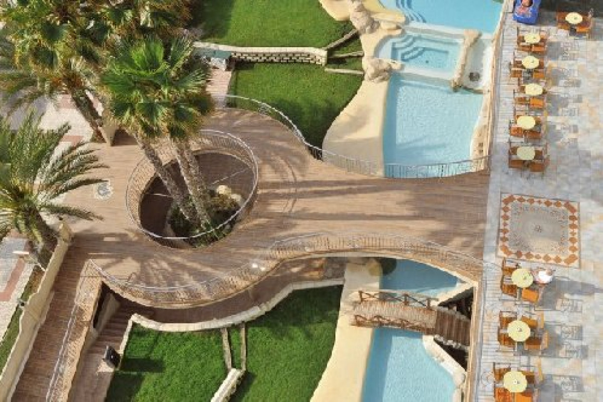 Kaktus Albir (Albir)